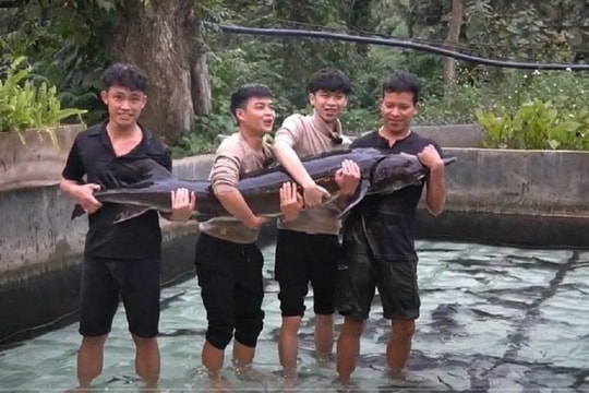Tuần lễ Nông sản Việt 2025: Thúc đẩy tiêu dùng nội địa trong kỷ nguyên số