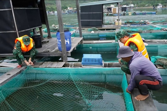 Gia Lai kêu gọi gần 1.900 tàu vào bờ tránh trú bão số 12