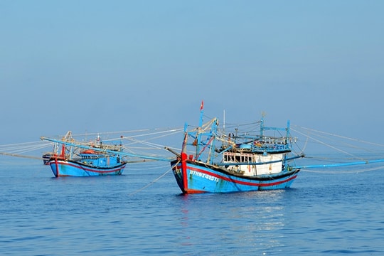 Thủ tướng Chính phủ Phạm Minh Chính yêu cầu kiên quyết xử lý triệt để với các hành vi vi phạm quy định về IUU