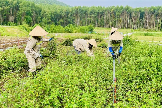 "Rào cản" trong việc triển khai liên kết sản xuất theo chuỗi giá trị ở Nghệ An