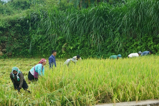 Mỗi năm, Lào Cai phấn đấu giảm tỷ lệ hộ nghèo vùng DTTS từ 5 - 6%
