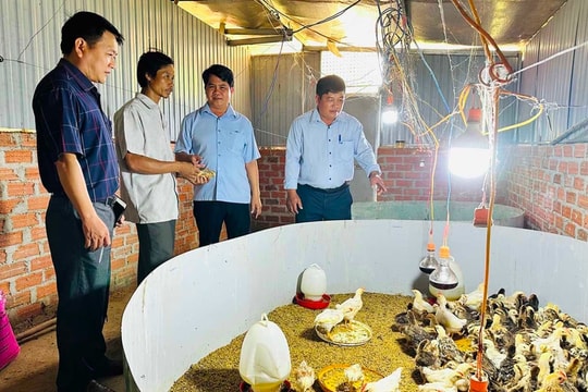 Hiệu quả trong công tác đào tạo nghề cho đồng bào DTTS nhìn từ Gia Lai