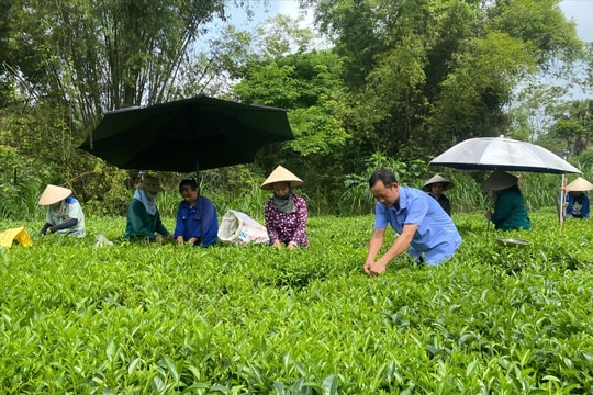 Tuyên Quang vững vàng thực hiện mục tiêu giảm nghèo