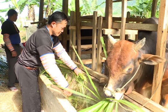 Thanh Hóa nhân rộng mô hình, điển hình giảm nghèo vùng đồng bào DTTS