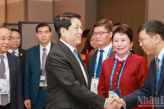 Chủ tịch nước Lương Cường tiếp nhà sáng lập Tập đoàn MEBO International