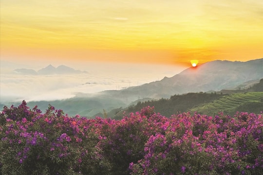 Sắc tím ở Vân Hồ