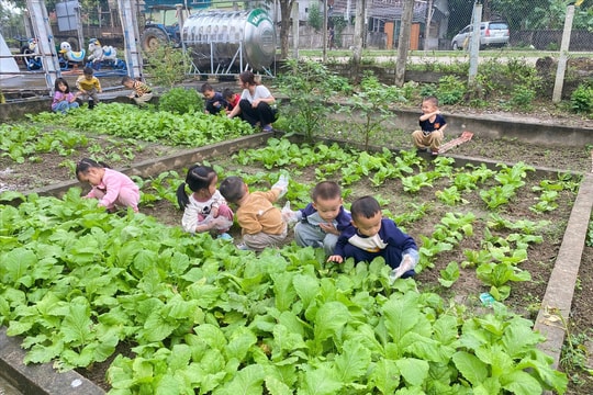 Một mô hình ấm áp về giáo dục và tình người
