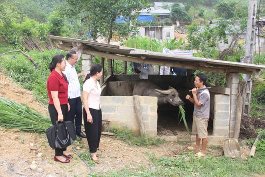 Người nghèo vùng cao thêm hy vọng đổi đời từ hỗ trợ mô hình chăn nuôi