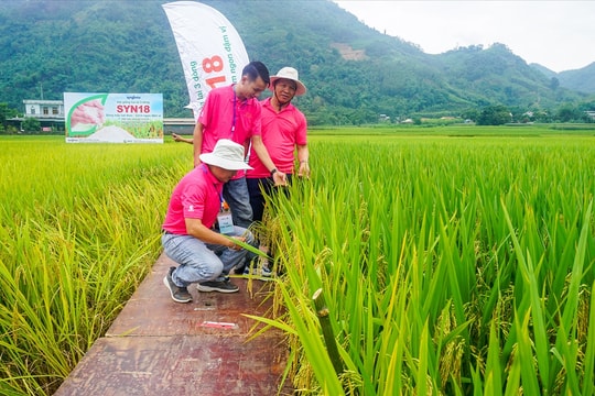 Thái Nguyên: Huy động đồng bộ nguồn lực, phát triển sinh kế gắn với chuyển đổi xanh