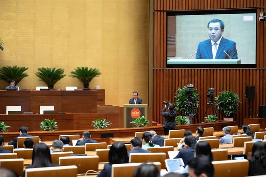 Tăng phân cấp, phân quyền, giảm thủ tục hành chính trong lĩnh vực nông nghiệp và môi trường