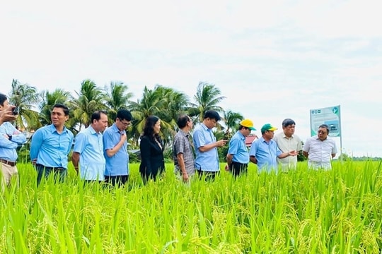 Tổ khuyến nông cộng đồng - Lực đẩy đưa nông dân vào chuỗi giá trị nông nghiệp bền vững