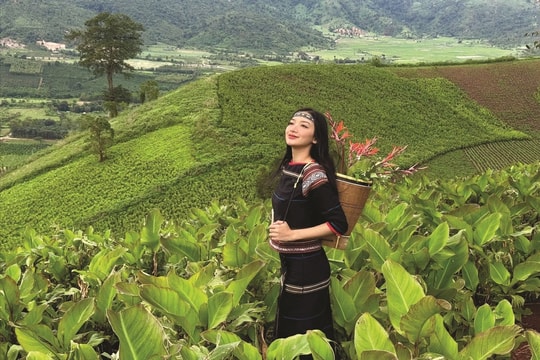 Á hậu 3 Miss Grand Vietnam Đinh Y Quyên:  Tuổi trẻ kiến tạo hòa bình bằng tri thức và trách nhiệm
