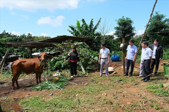 Chính sách hỗ trợ thiết thực tạo "bệ đỡ " vững chắc cho hành trình giảm nghèo ở Lâm Đồng