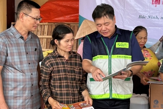 Cục trồng trọt và bảo vệ thực vật chỉ đạo sản xuất trồng trọt ứng phó bão Kalmaegi