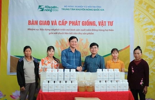 Tập huấn và bàn giao giống, vật tư sản xuất nấm đông trùng hạ thảo cho nông dân tại Phú Thọ