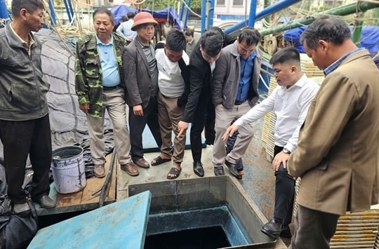 Tăng cường năng lực liên kết sản xuất và chống khai thác IUU trong nghề cá