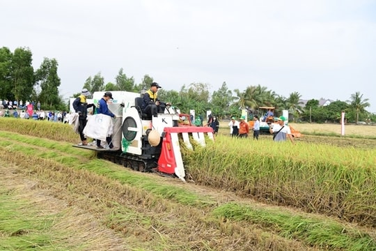 Khẩn trương sắp xếp nhân sự khuyến nông, văn phòng đăng ký đất đai về cấp xã quản lý