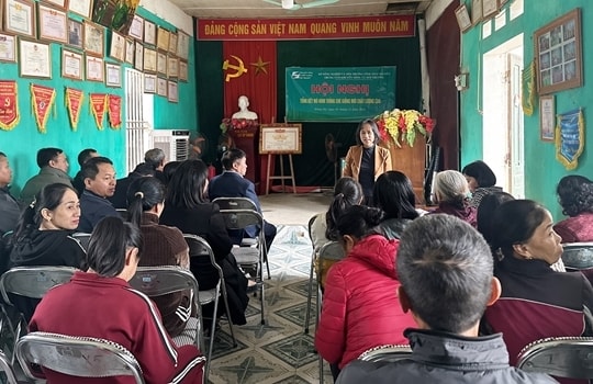 Thái Nguyên phát triển mô hình trồng chè giống chất lượng cao