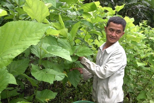 Cao Bằng đồng bộ giải pháp nhằm thúc đẩy giảm nghèo bền vững