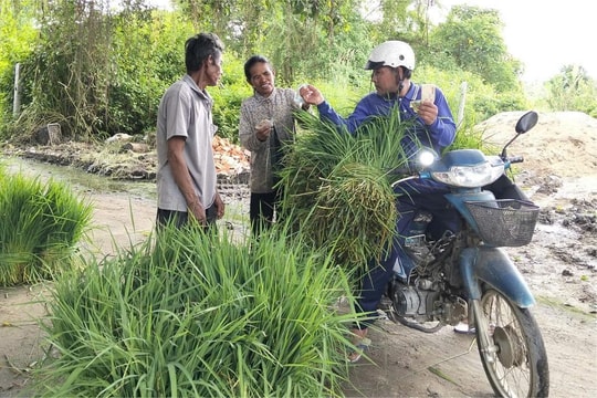 Ấn tượng chợ bán một mặt hàng nuôi sống hàng trăm gia đình người Khmer