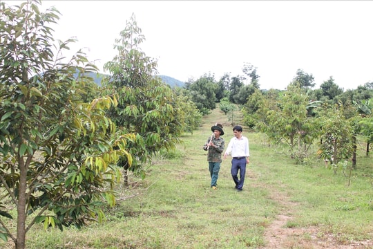 Những đảng viên lan tỏa phong trào sản xuất giỏi trong vùng đồng bào DTTS xã Ya Ly