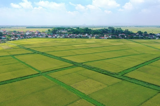 Các trường hợp được miễn thuế sử dụng đất nông nghiệp đến hết ngày 31/12/2030
