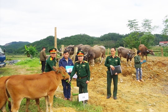 Đoàn Kinh tế - Quốc phòng 338 bàn giao con giống cho đồng bào DTTS thuộc Khu Kinh tế - Quốc phòng Mẫu Sơn