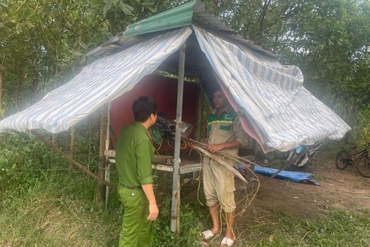 Thanh Hóa ra quân ngăn chặn tình trạng săn bắt chim trời