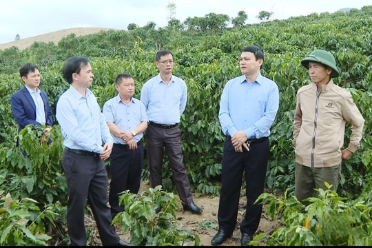 Sơn La: Tăng tốc giải ngân, không để đọng vốn Chương trình MTQG 1719