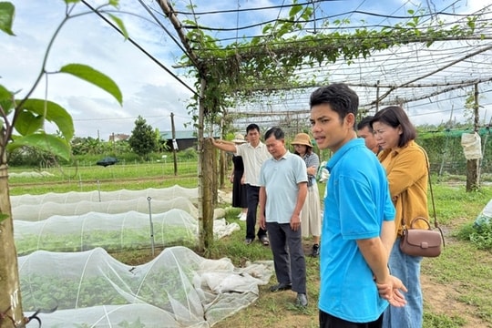 Hệ thống khuyến nông hướng đến hiện đại hóa toàn diện, phục vụ thiết thực cho người dân