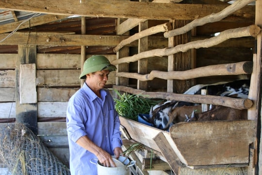 Lâm Đồng: Giảm nghèo bền vững, hướng tới phát triển toàn diện