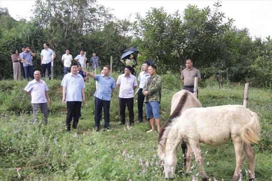Lạng Sơn: Tỷ lệ hộ nghèo giảm mạnh nhờ đầu tư hạ tầng và hỗ trợ sinh kế