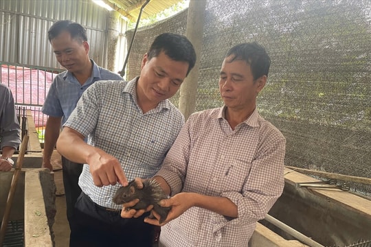 Tuyên Quang tăng tốc tái cơ cấu nông nghiệp, hướng đến nông nghiệp xanh