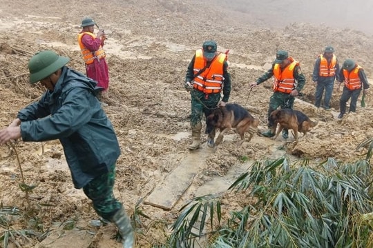 Tập trung ứng phó mưa lũ, đặt nhiệm vụ bảo đảm an toàn tính mạng cho Nhân dân lên trên hết, trước hết