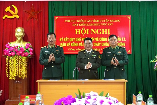 Tuyên Quang: Ký kết quy chế phối hợp trong công tác quản lý, bảo vệ rừng