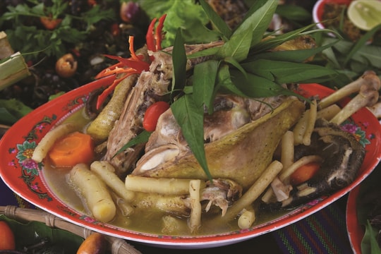 Sâm dây - Hương vị đại ngàn Trường Sơn