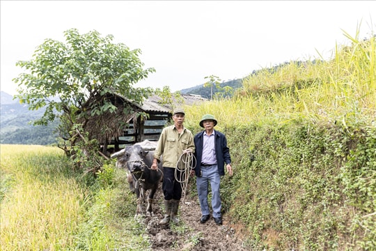 Lao Chải (Tuyên Quang): Khởi sắc nhờ nguồn lực các Chương trình MTQG