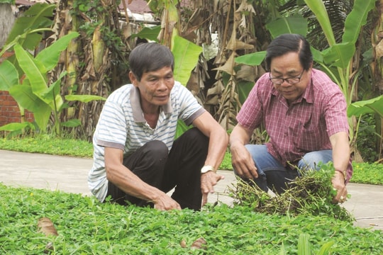 Những người "gieo" niềm tin nơi phum sóc Vĩnh Long