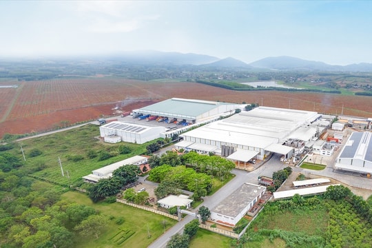 Giấc mơ nông nghiệp công nghệ cao ở Nghệ An