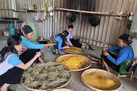 HTX Nông dược Sống Hạnh Phúc đầu tư hơn 500 triệu đồng xây dựng nhà xưởng, chế biến trà túi lọc xạ đen – cà gai leo Happy Life (OCOP 3 sao), xuất ra thị trường 3.000–4.000 hộp/tháng. HTX hiện có 3ha x