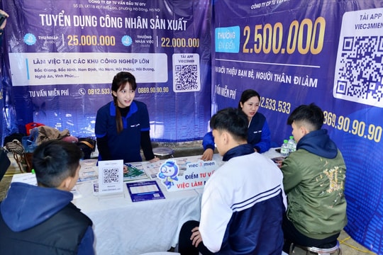 Tuyên Quang: Giải quyết việc làm - Sinh kế bền vững của người lao động