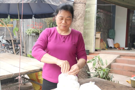 Bền bỉ như mạch nguồn núi rừng, nấm sò cô Sinh vươn lên thành OCOP 3 sao