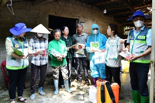 Bộ Nông nghiệp và Môi trường hướng dẫn củng cố đội ngũ cộng tác viên và Tổ khuyến nông cộng đồng