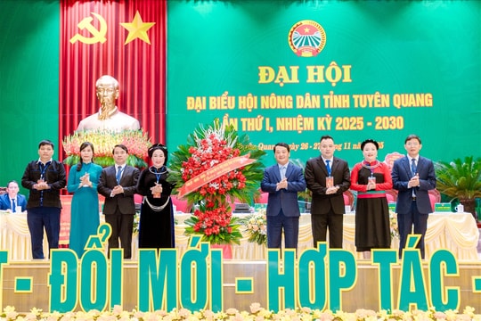 Bà Chu Thị Ngọc Diệp giữ chức Chủ tịch Hội Nông dân tỉnh Tuyên Quang
