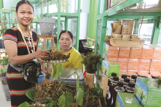 Gặp những người nông dân vượt khó làm giàu