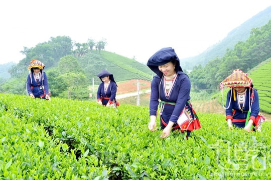 Một số chính sách mới có hiệu lực từ tháng 12/2025
