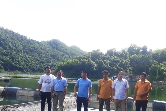 Phú Thọ phát huy hiệu quả mô hình Tổ khuyến nông cộng đồng - Động lực thúc đẩy sản xuất nông nghiệp bền vững