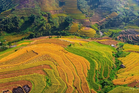 Khẩn trương hoàn thiện hồ sơ Báo cáo đề xuất chủ trương đầu tư Chương trình MTQG