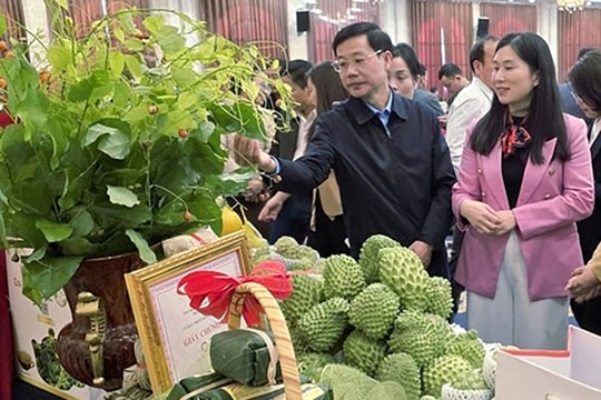 Lạng Sơn: Nâng tầm sản phẩm, xây dựng thương hiệu chuyên nghiệp cho sản phẩm Ocop