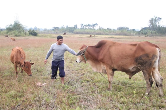 Những điển hình lan tỏa ý chí vươn lên thoát nghèo bền vững tại xã Đăk Rơ Wa